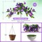 Artificial Hanging Flower Basket for Outdoors, UV Resistant Faux Silk Hanging Plants with Real Touch Flowers, Fake Outdoor Hanging Flowers for Front Porch Patio Balcony Garden Spring Summer Home Decor, Double Purple